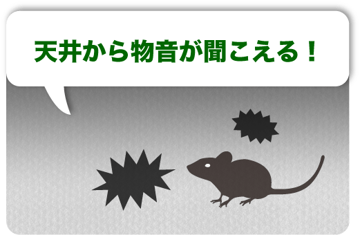 天井から物音が聞こえる