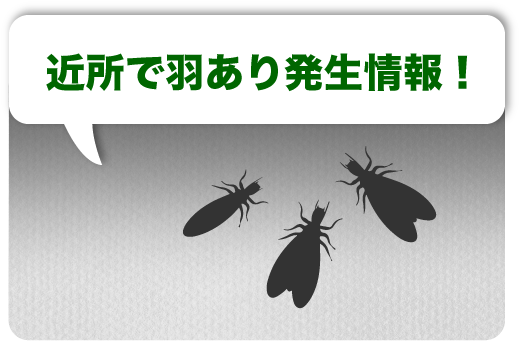 事例３　近所で羽あり発生情報