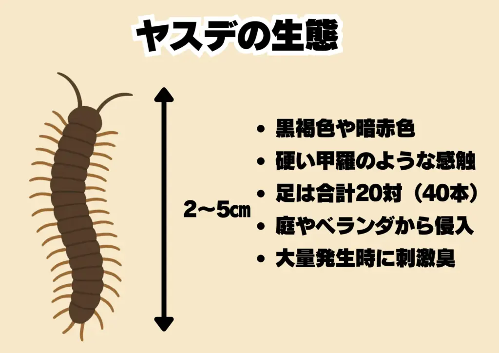 ヤスデ特徴・対策