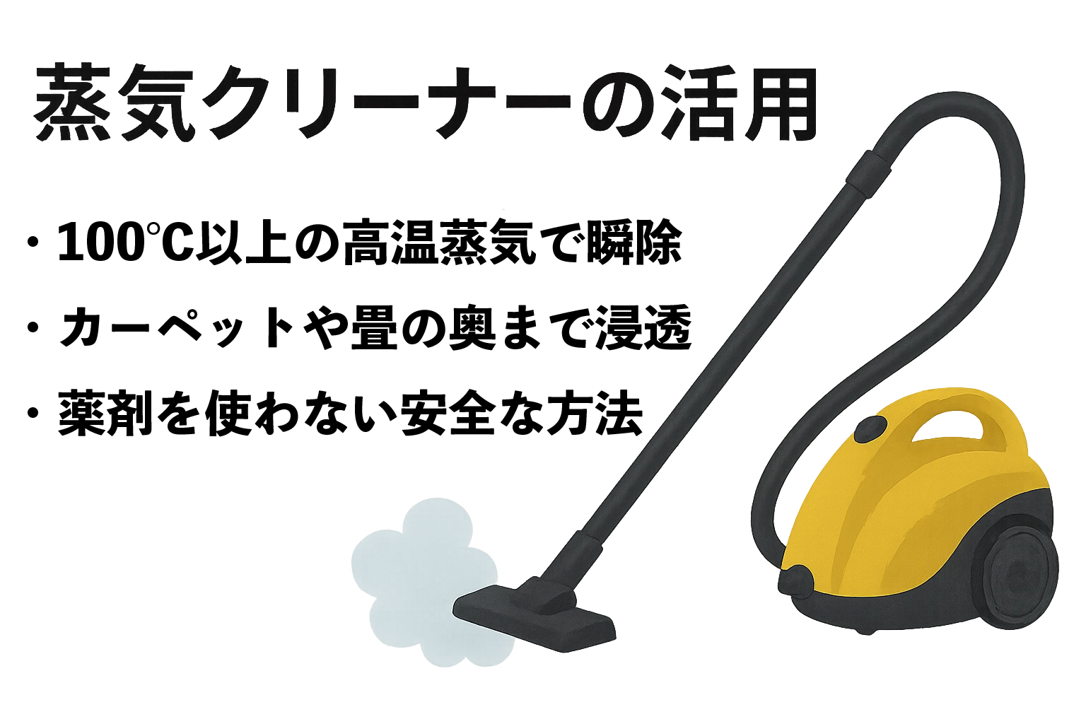 蒸気クリーナーの活用