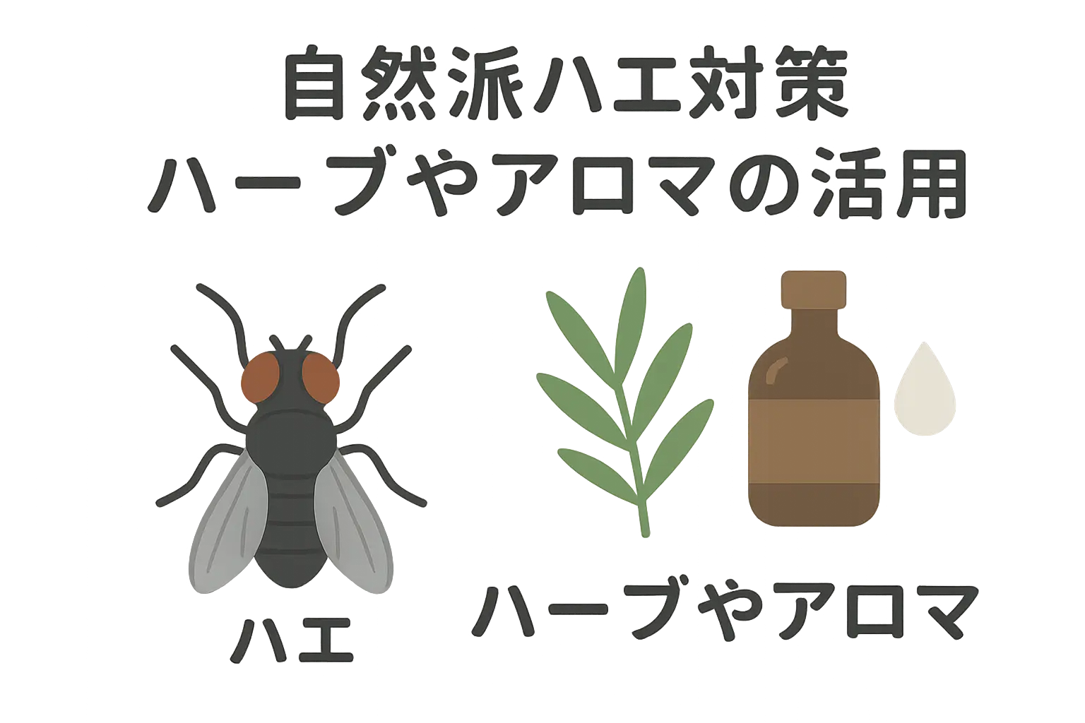 自然派ハエ対策:ハーブやアロマの活用