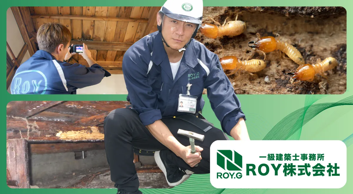 ROY株式会社のスタッフによるシロアリ点検と駆除作業の様子