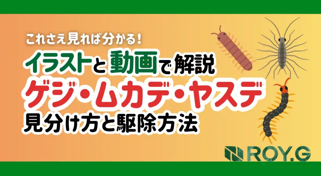 ゲジ・ムカデ・ヤスデ、見分け方/駆除対策
