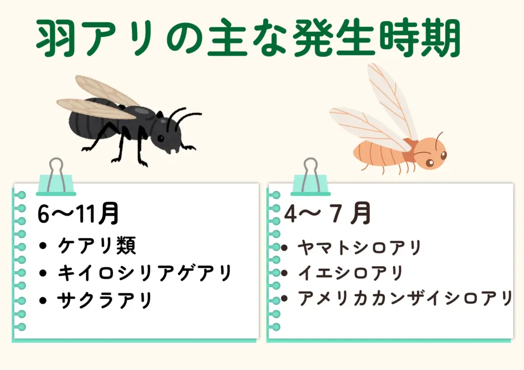 羽アリ羽シロアリ時期