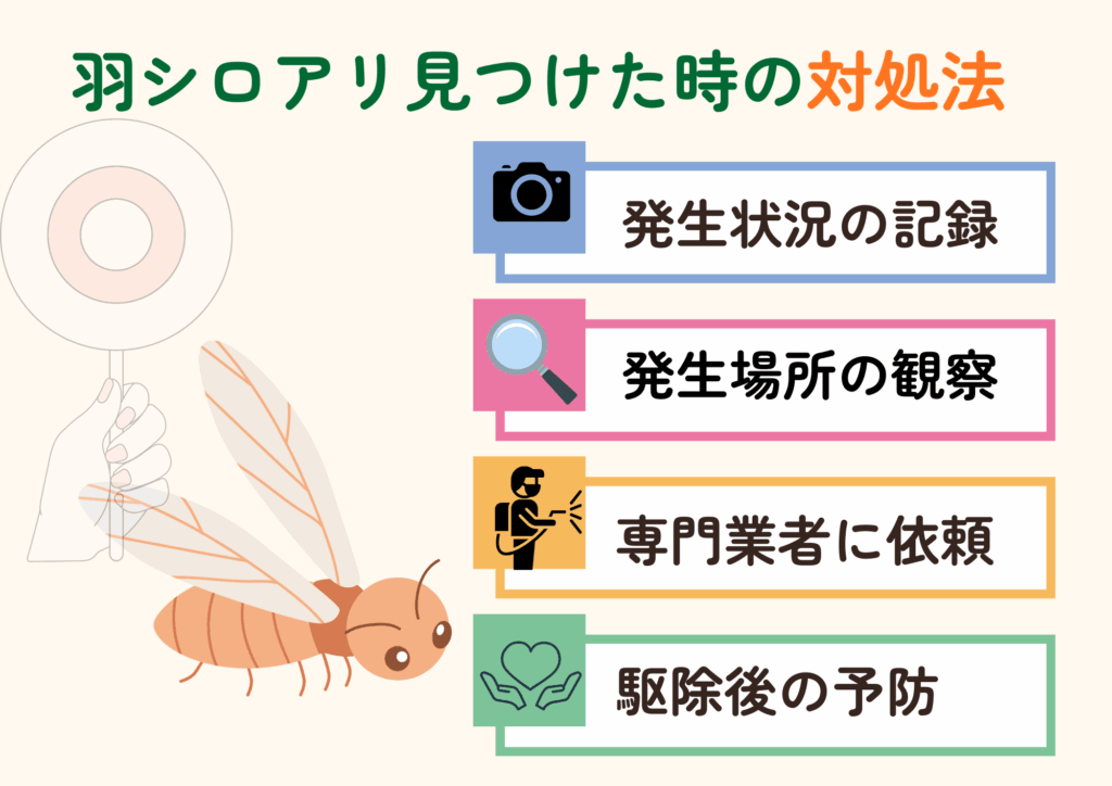羽シロアリ対処法