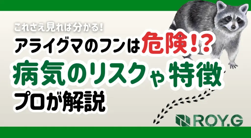 アライグマ　サムネイル