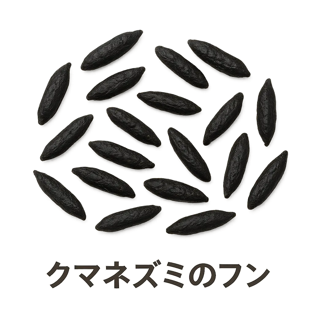 クマネズミのフン(屋内で最も多く見られる)