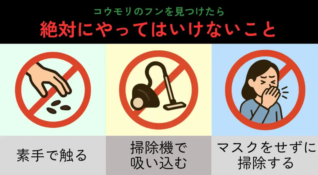 コウモリのフン掃除で絶対にやってはいけない行動（素手・掃除機・マスクなし）
