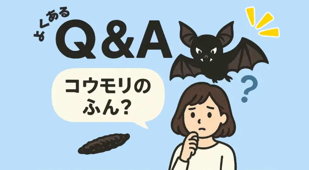 コウモリのフンについてよくある疑問を解説するイラストQ&A
