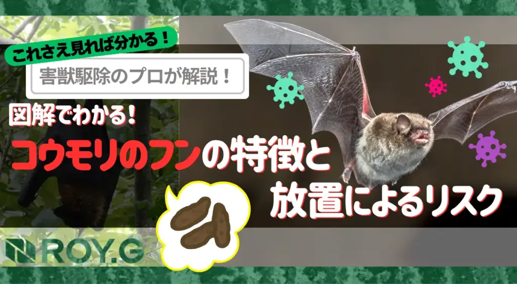 コウモリのフンによるリスクを解説する記事のサムネイル画像
