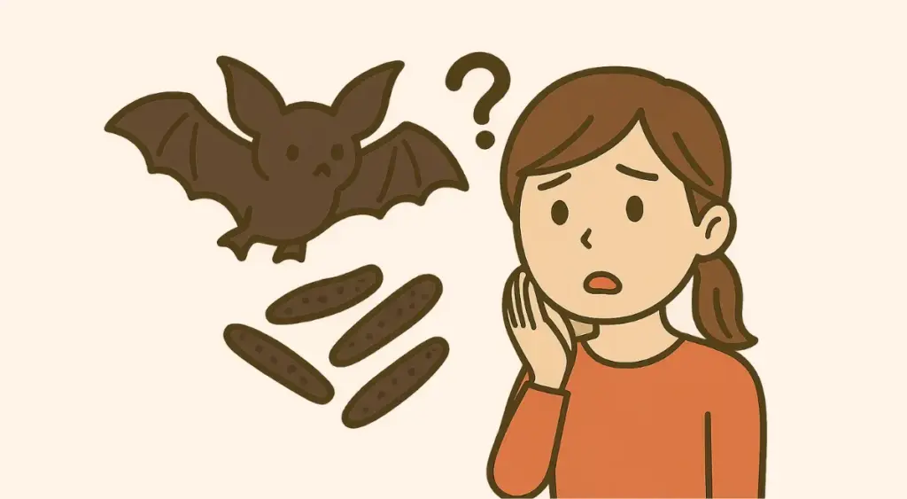 コウモリのフンと疑問を抱く女性のイラスト

