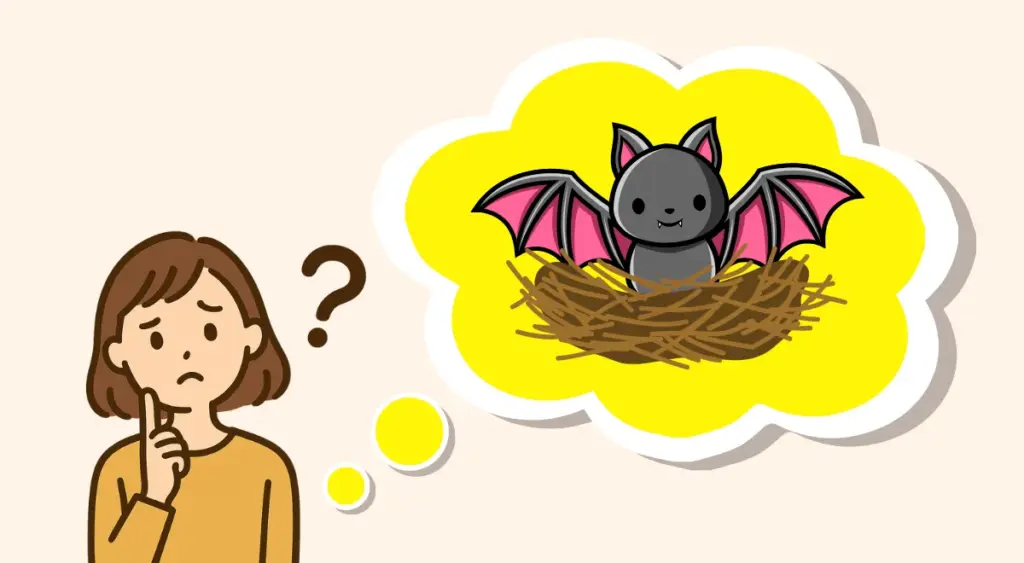 コウモリの巣について疑問を抱く女性のイラスト
