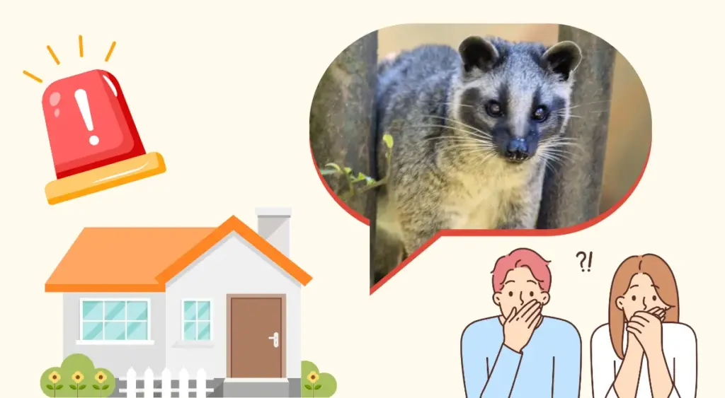 ハクビシンとは?意外と身近な“野生動物”