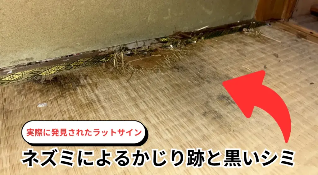 壁の黒ずみやかじり跡など、ネズミのラットサイン