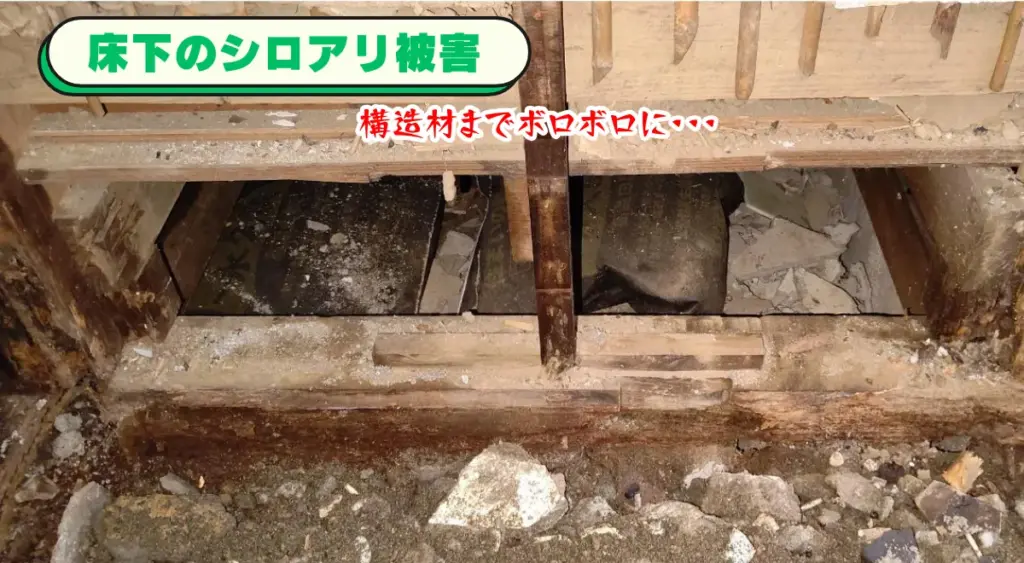 床下の構造材までボロボロになってしまったシロアリ被害