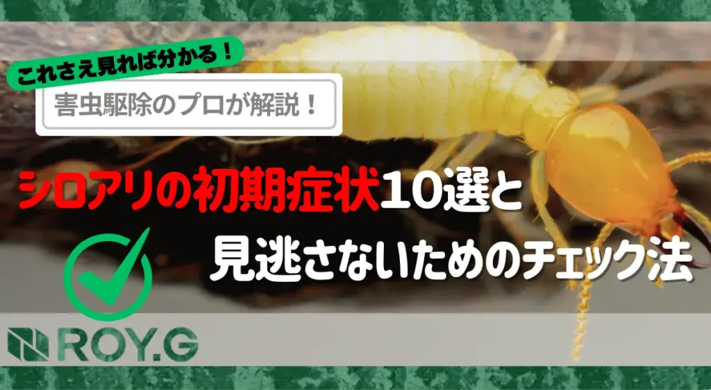 害虫駆除のプロが解説！シロアリの初期症状10選と見逃さないチェック方法