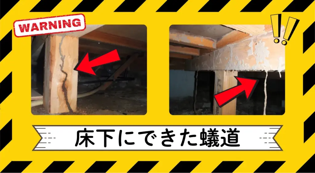 床下にできた蟻道の写真（シロアリ被害の症状例）