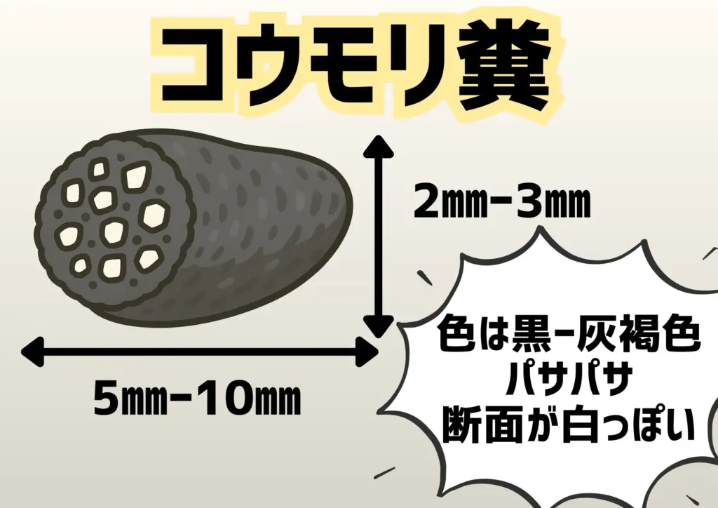 コウモリののフン対策