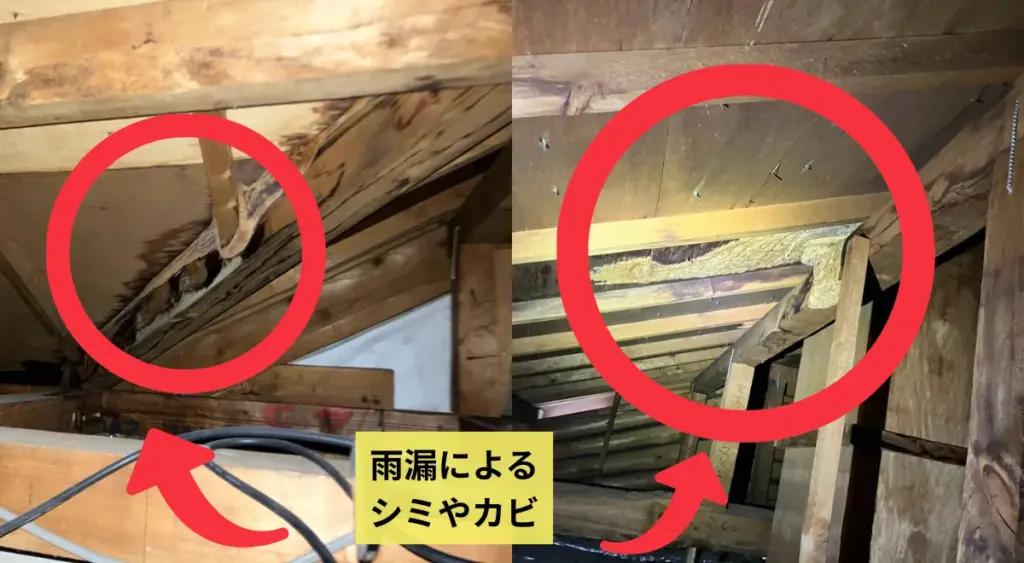 雨漏り・部屋のシミ・カビ