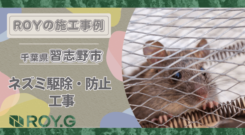 【千葉県習志野市】戸建て住宅のねずみ駆除事例|ROY株式会社