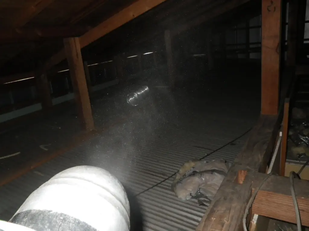 ハクビシンの屋根裏のフンの清掃と消毒