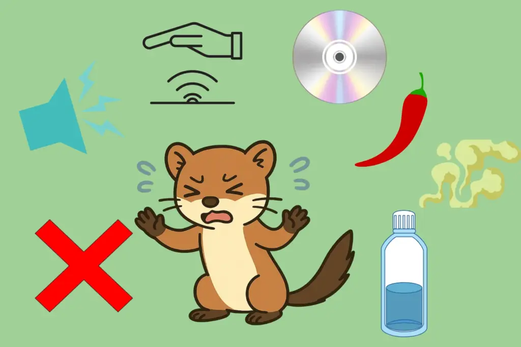 イタチが嫌うものを活用した忌避対策