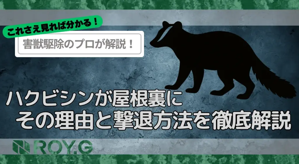 ハクビシンが屋根裏その理由と撃退方法