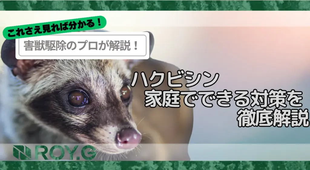 ハクビシン被害が急増中!家庭でできる最新の対策を徹底解説