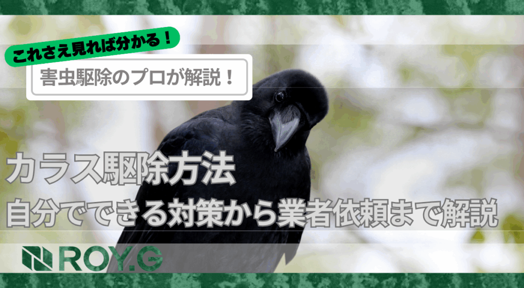 カラス駆除方法|自分でできる対策から業者依頼まで解説