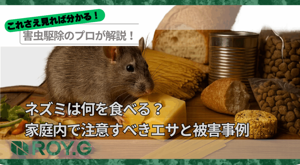ネズミは何を食べる?家庭内で注意すべきエサと被害事例
