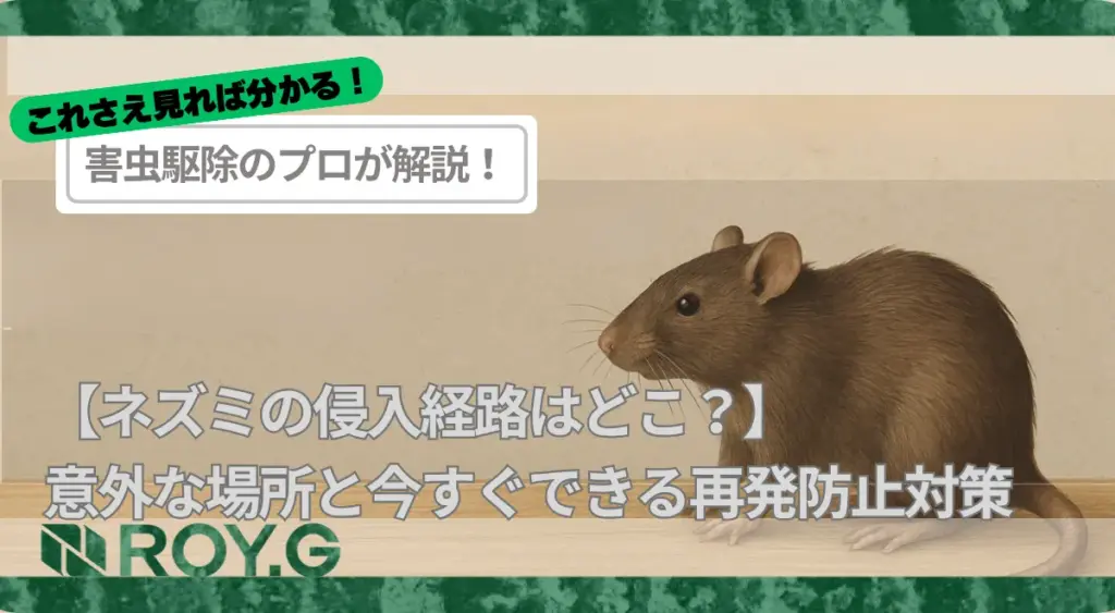【ネズミの侵入経路はどこ?】意外な場所と今すぐできる再発防止対策