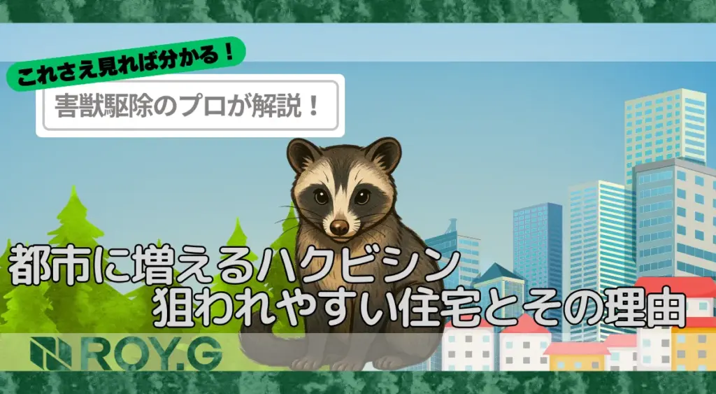 都市に増えるハクビシンはなぜ人間の住まいに侵入するのか
