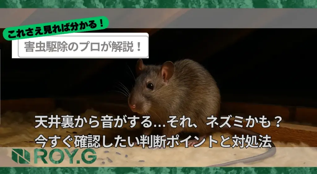 天井裏から音がする…それ、ネズミかも？今すぐ確認したい判断ポイントと対処法
