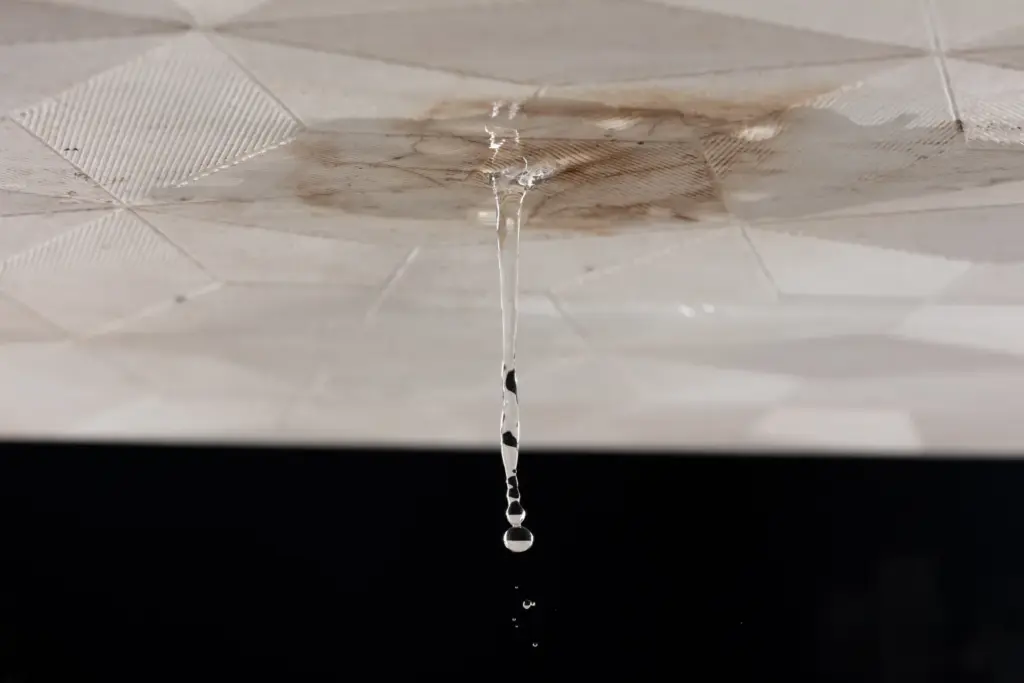 雨漏りは保険対象になる?