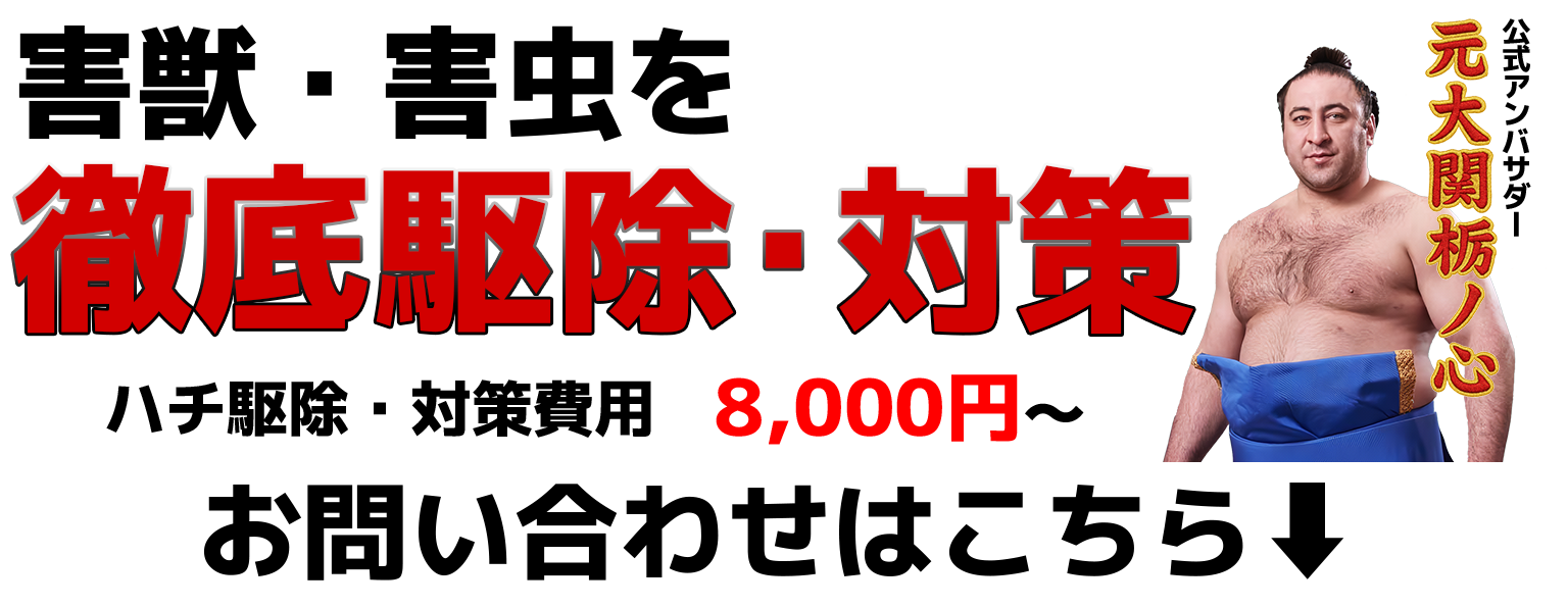 ROY株式会社 害獣駆除 栃ノ心アンバサダー