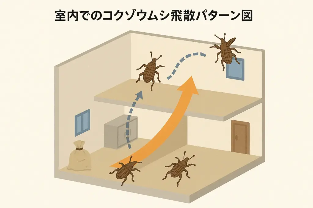 コクゾウムシは飛ぶ?部屋への拡散メカニズム