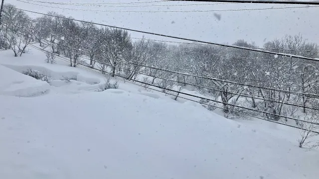 事例3:新潟県・豪雪+強風地域