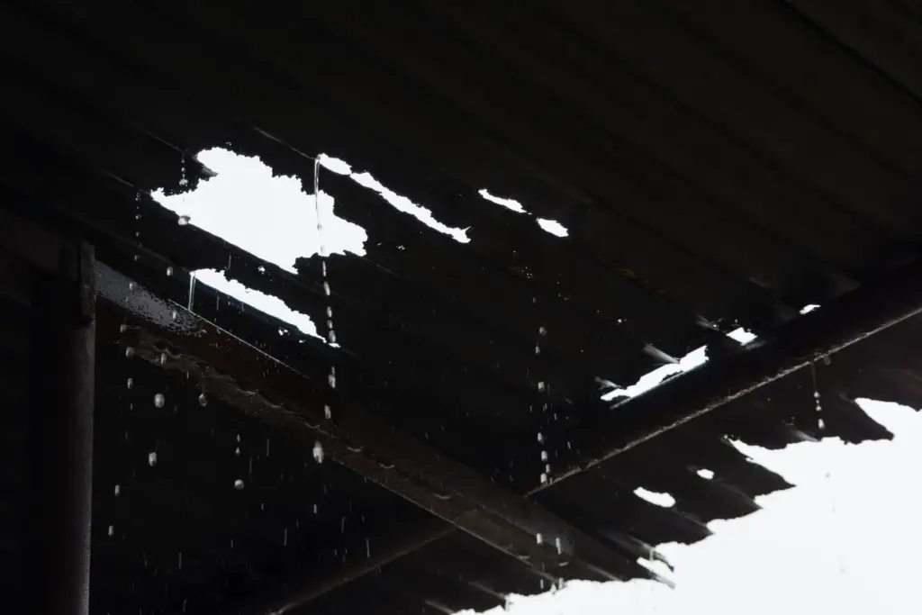 雨漏り被害