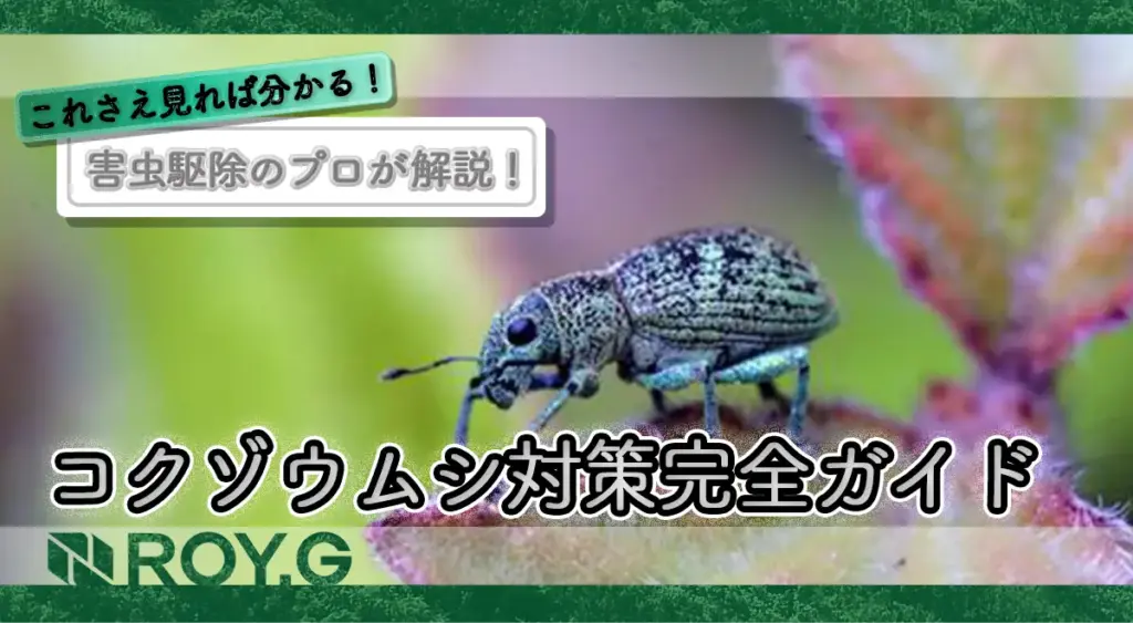 戸建て住宅のコクゾウムシ対策完全ガイド|発生原因と効果的な駆除方法!