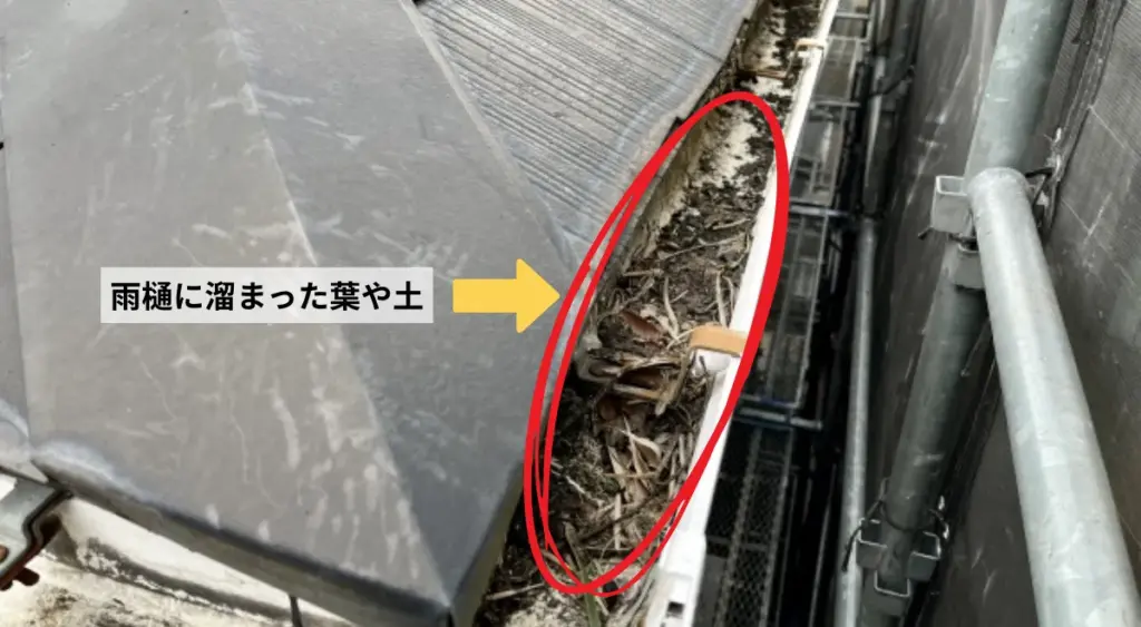 雨どいが詰まっている・歪んでいる
