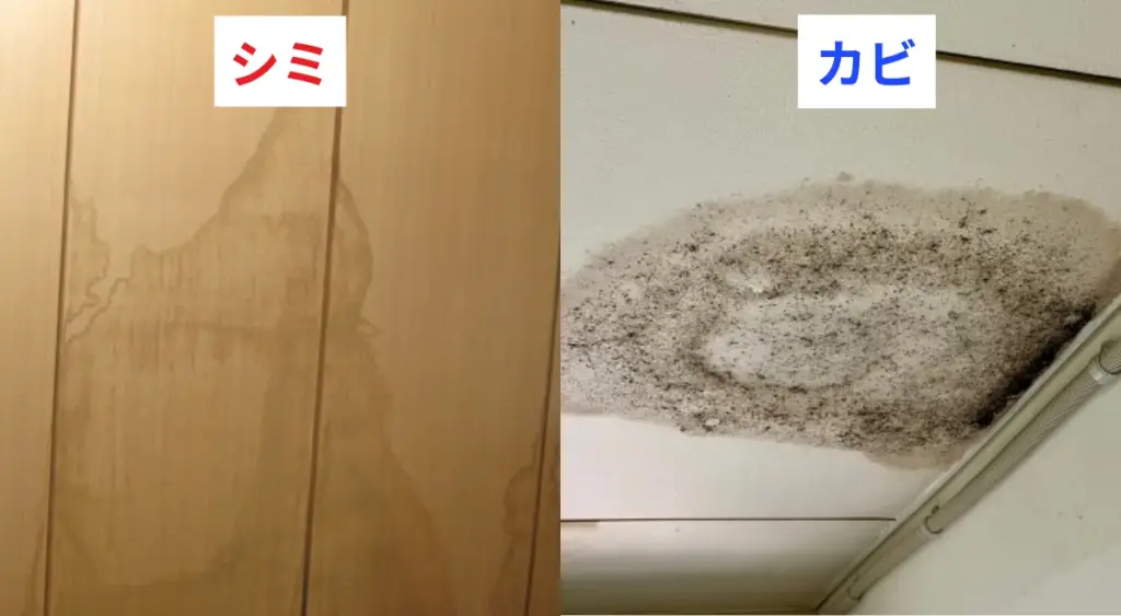 天井や壁に「シミ」や「カビ」が出てきていないか