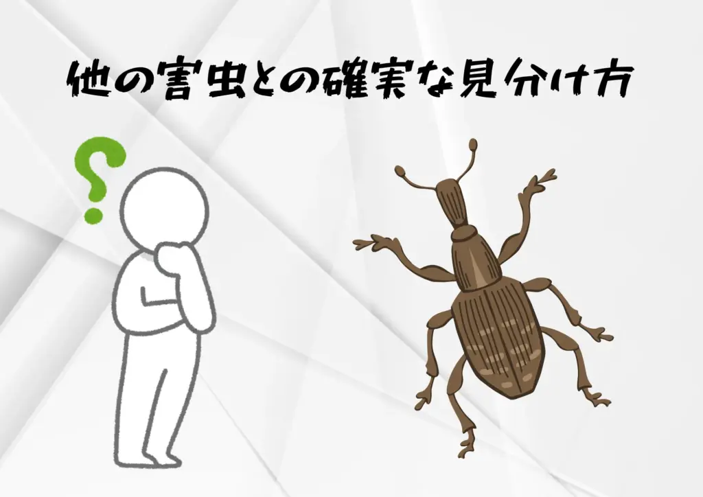 他の害虫との確実な見分け方