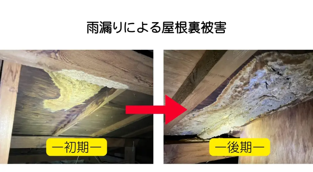 【雨漏り】雨漏りによる屋根裏被害の実際の写真