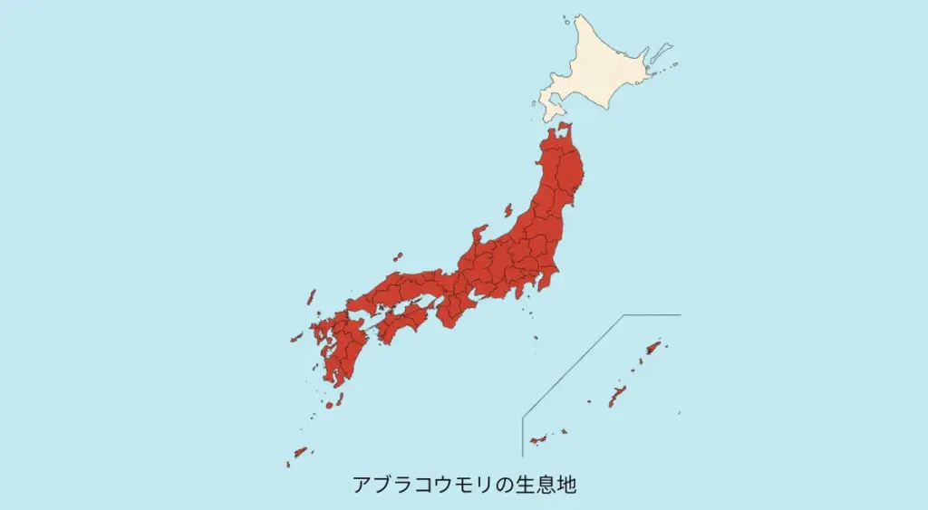 コウモリの活動時期・日本の生息地