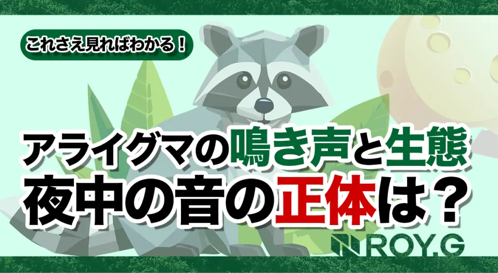 アライグマの鳴き声と生態｜夜中の音の正体は？