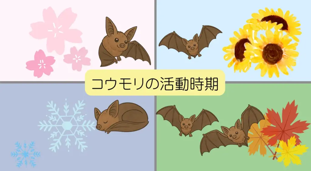 コウモリの活動時期