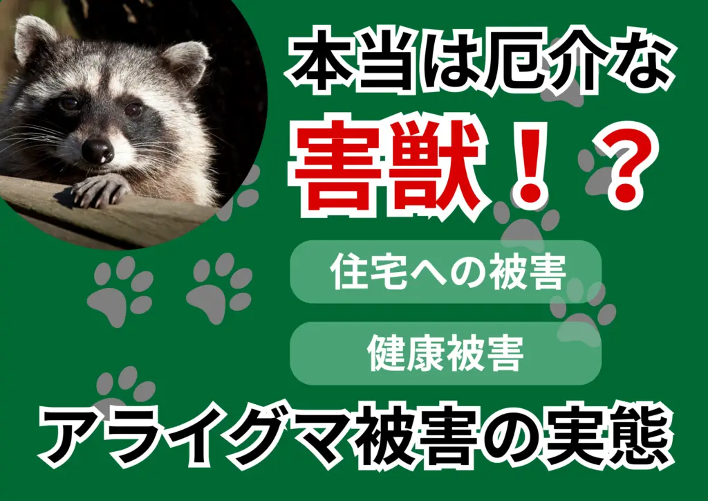 アライグマ被害の実態