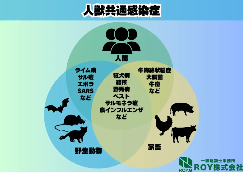 人獣共通感染症 コウモリ 感染症