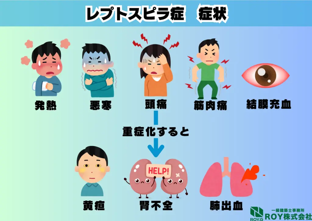 コウモリ 感染症 レストスピラ症 症状