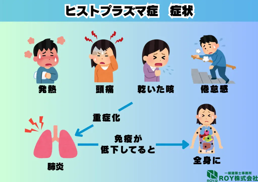 コウモリ 感染症 ヒストプラズマ症 感染経路